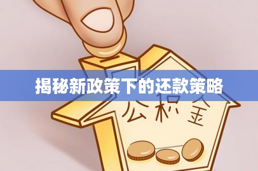 垦利揭秘新政策下的还款策略
