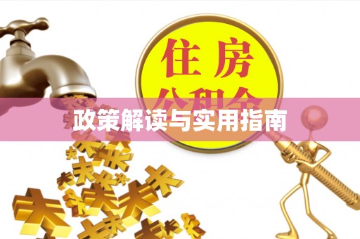 垦利政策解读与实用指南
