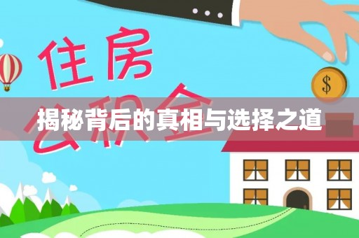 垦利揭秘背后的真相与选择之道