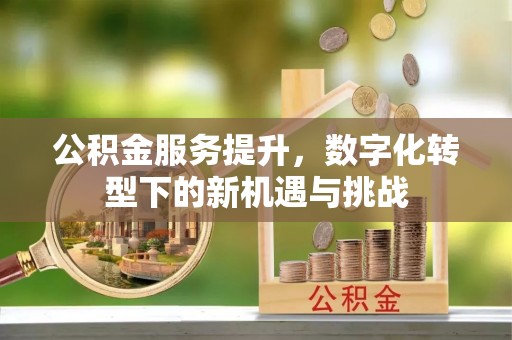 垦利公积金服务提升，数字化转型下的新机遇与挑战
