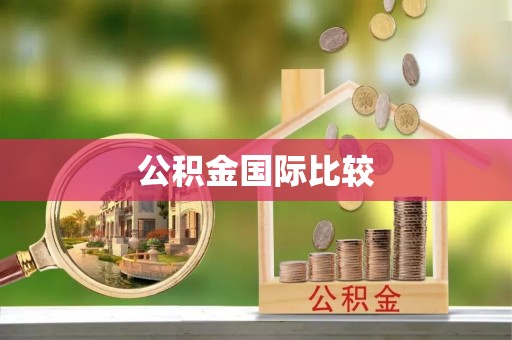垦利公积金国际比较