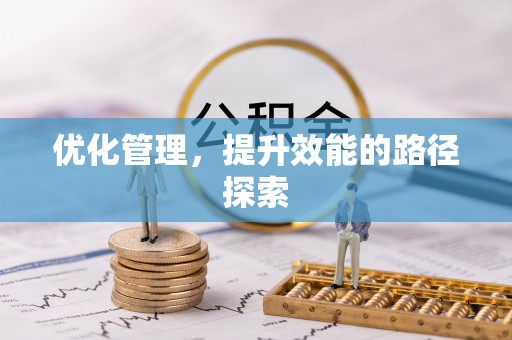 垦利优化管理，提升效能的路径探索