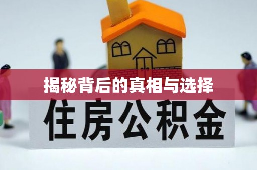 垦利揭秘背后的真相与选择