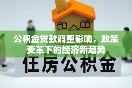 垦利公积金贷款调整影响，政策变革下的经济新趋势