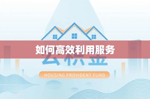垦利如何高效利用服务