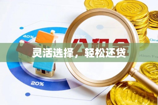 垦利灵活选择，轻松还贷