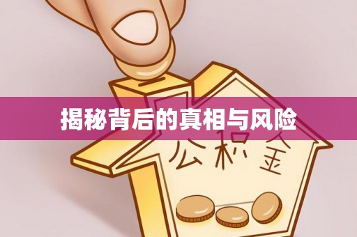 垦利揭秘背后的真相与风险