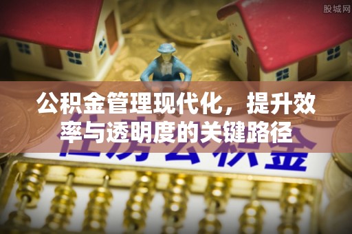 垦利公积金管理现代化，提升效率与透明度的关键路径