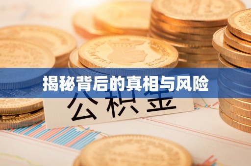 垦利揭秘背后的真相与风险