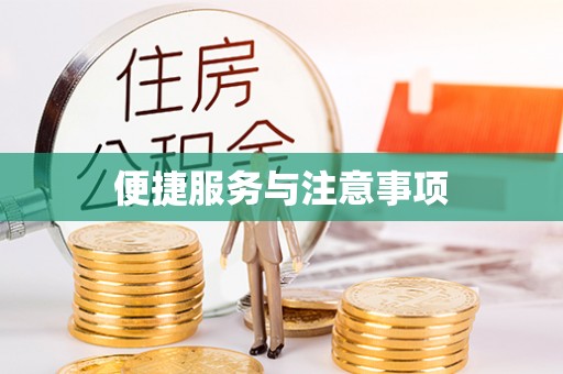 垦利便捷服务与注意事项