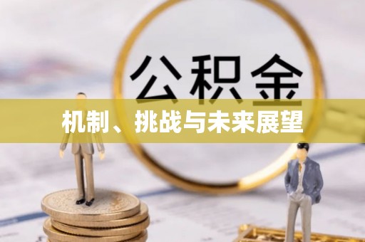 垦利机制、挑战与未来展望