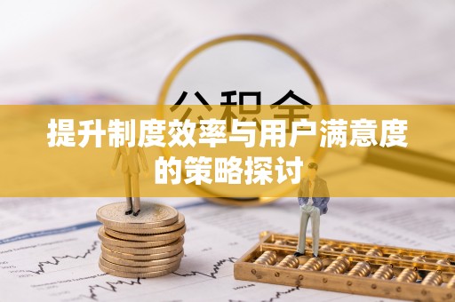 垦利提升制度效率与用户满意度的策略探讨